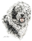 Bobtail - K6