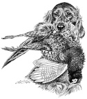 Schwarz/Weiße Federzeichnungen - Black & White Ink Drawings