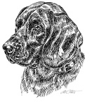 Lauf/Schweißhunde - Scent hounds and related breeds