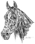 Andere Tiere - Other Animals